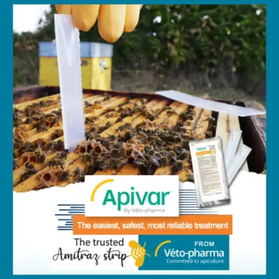 60 pack APIVAR - Varroa Mite Treatment - Image 3