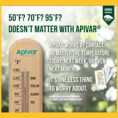 60 pack APIVAR - Varroa Mite Treatment - Image 2