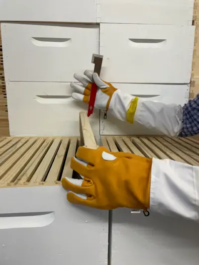 PREMIUM LEATHER VENTED GLOVES - Image 2