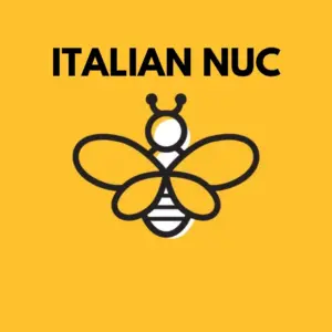 2024 NUC 5 Frame - Italian