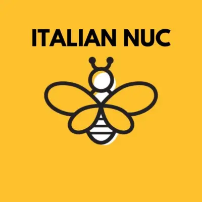 2024 NUC 5 Frame - Italian